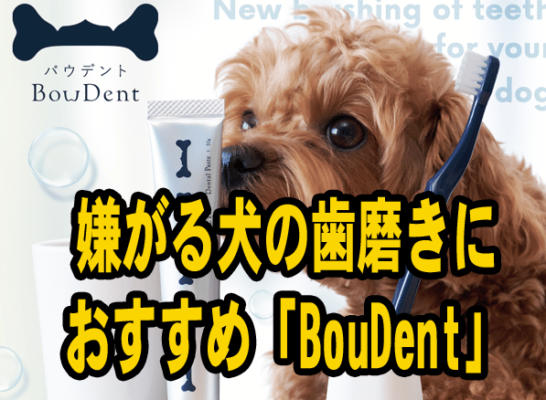 嫌がる犬の歯磨きに おすすめ「BouDent」