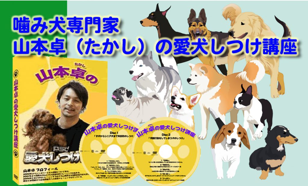 噛み犬 しつけ