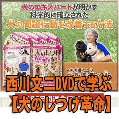 西川文二DVDで学ぶ 【犬のしつけ革命】
